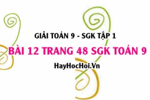 Giải bài 12 trang 48 SGK Toán 9 tập 1